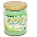 Ljus Cool Cucumber & Honeydew (Smoke Odor Exterminator)