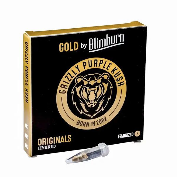Grizzly Purple Kush (Blimburn Seeds) Feminiserade