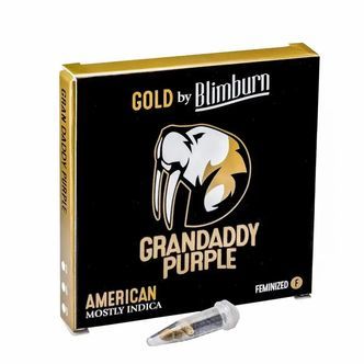 Granddaddy Purple (Blimburn Seeds) feminiserade