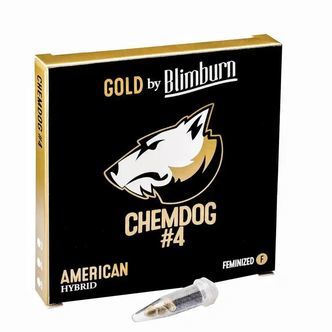 Chemdawg 4 (Blimburn Seeds) feminiserade cannabisfr&ouml;n