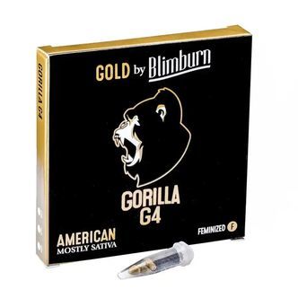 Gorilla Glue 4 (Blimburn Seeds) feminiserade