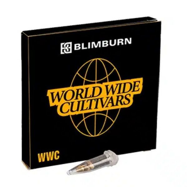 Blackberry Moonstones Auto (Blimburn Seeds) Feminiserade