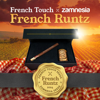 French Runtz (French Touch Seeds x Zamnesia Seeds) Feminiserade