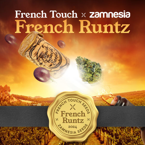 French Runtz (French Touch Seeds x Zamnesia Seeds) Feminiserade