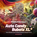 Auto Candy Bubatz XL (Dutch Passion) Feminiserade