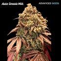 Auto Zerealz Milk (Advanced Seeds) Feminiserade