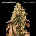 Auto Rainbow Sherbet 11 (Advanced Seeds) Feminiserade