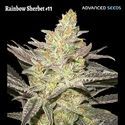 Rainbow Sherbet #11 (Advanced Seeds) Feminiserade