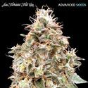 Auto Forbidden Fruit Cake (Advanced Seeds) Feminiserade