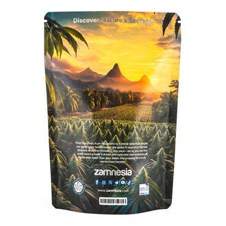 Landrace-paket – Feminiserade sorter
