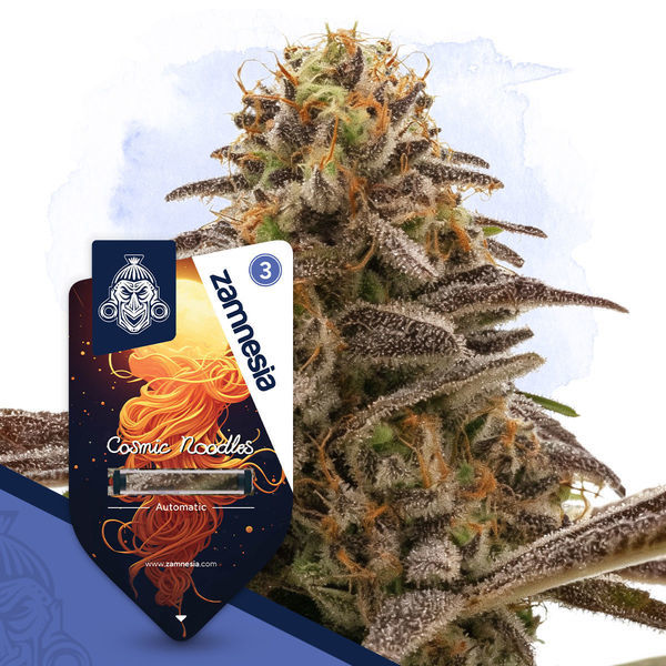 Galactic Delights Pack – Autoflower-sorter