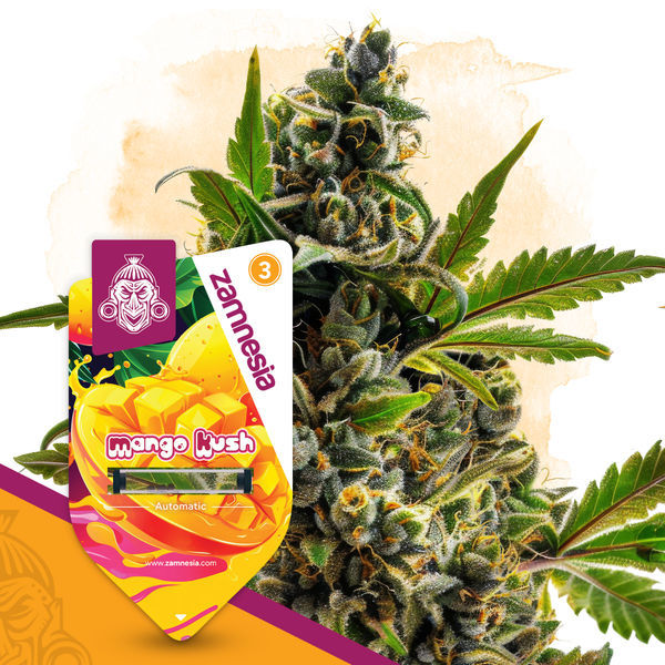 Club Tropicana Pack – Autoflower-sorter