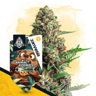 Wild Things Pack – Autoflower-sorter