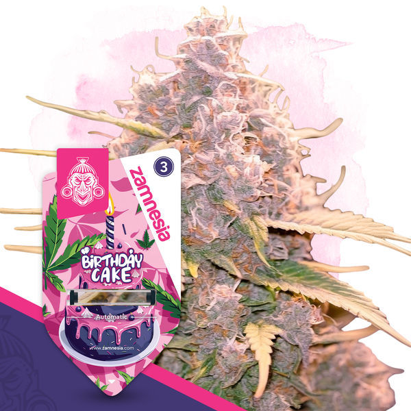 Desserts Pack – Autoflower-sorter