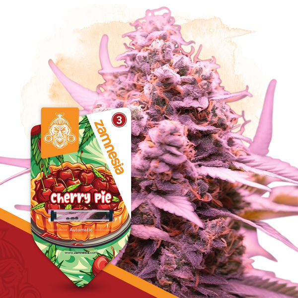 Desserts Pack – Autoflower-sorter