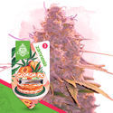 Desserts Pack – Autoflower-sorter