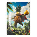 F1 Power Pack – F1-hybridfrön