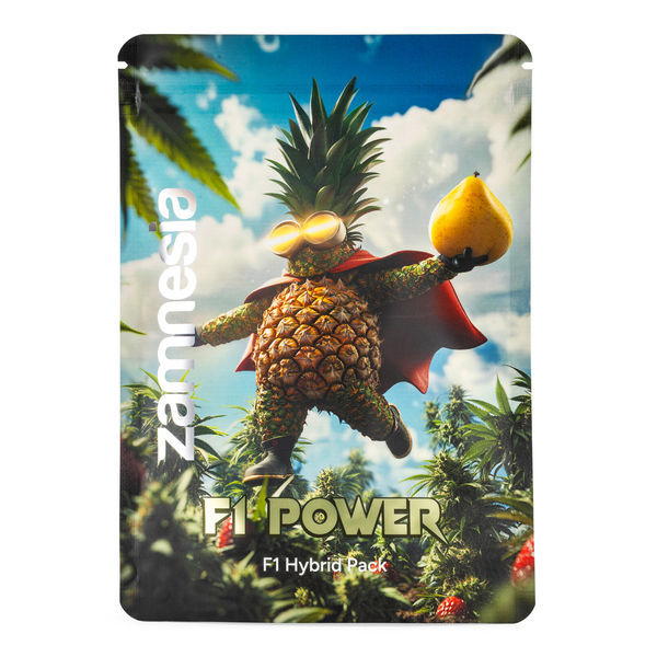 F1 Power Pack – F1-hybridfrön