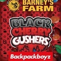 Black Cherry Gushers (Barney's Farm x Backpackboyz) Feminiserade