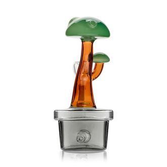 Bonsai-bong (Hemper)