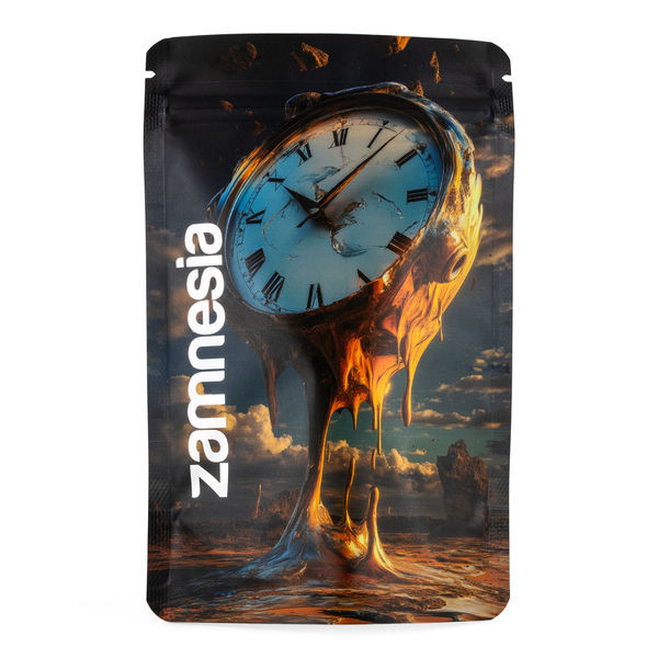 TranceLucid Z-Lock Förvaringspåse (medium)