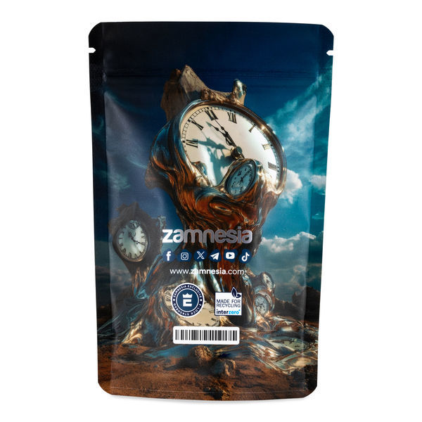 TranceLucid Z-Lock Förvaringspåse (medium)