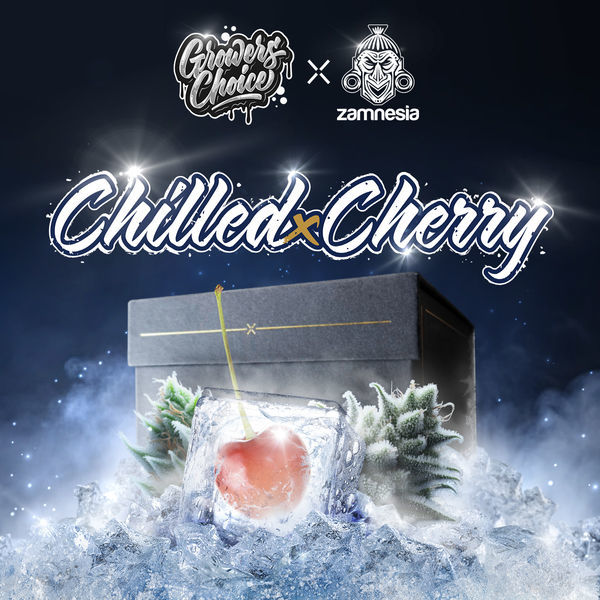 Chilled Cherry (Growers Choice x Zamnesia Seeds) Feminiserade
