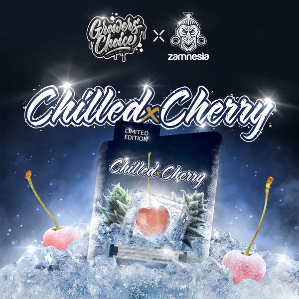 Chilled Cherry (Growers Choice x Zamnesia Seeds) Feminiserade