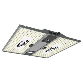 Pure Led Q240 (240 W)