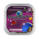 MushRocks Magiska tryfflar