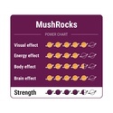 MushRocks Magiska tryfflar