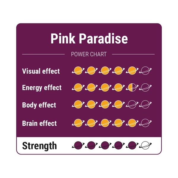 Pink Paradise Magiska tryfflar
