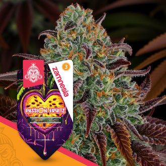 Passion Fruitz (Zamnesia Seeds) Feminiserade