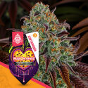 Passion Fruitz (Zamnesia Seeds) Feminiserade