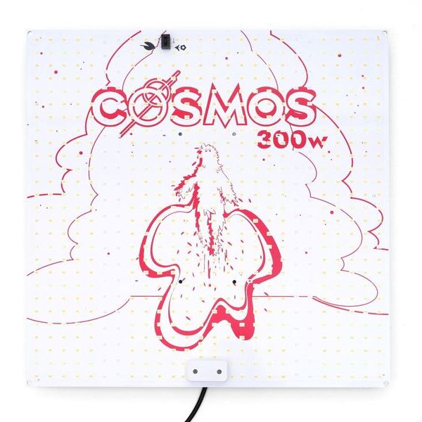 Odlingstältspaket 100×100 (Dark Box)