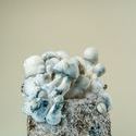 MycoBag ”Tidal Wave Ape”