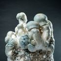 MycoBag ”Tidal Wave Ape”