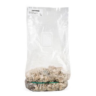 Zamnesia Ready-2-Grow Bag ”Enigma”