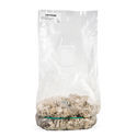 Zamnesia Ready-2-Grow Bag ”Enigma”