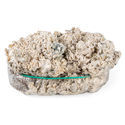 Zamnesia Ready-2-Grow Bag ”Enigma”