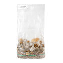 Zamnesia Ready-2-Grow Bag "Hillbilly Pumpkin"