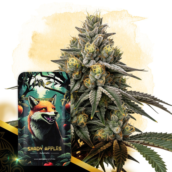 Shady Apples Autoflower (Zamnesia Seeds) Feminiserade