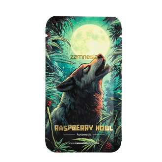 Raspberry Howl Autoflower (Zamnesia Seeds) Feminiserade