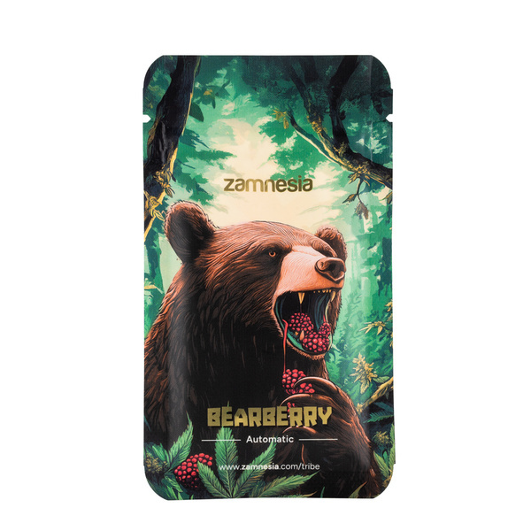 Bearberry Autoflower (Zamnesia Seeds) Feminiserade