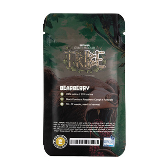 Bearberry Autoflower (Zamnesia Seeds) Feminiserade