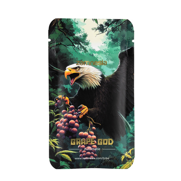 Grape God Autoflower (Zamnesia Seeds) Feminiserade