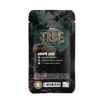 Grape God Autoflower (Zamnesia Seeds) Feminiserade