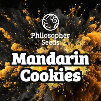 Mandarin Cookies (Philosopher Seeds) Feminiserade