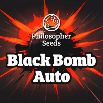 Black Bomb Auto (Philosopher Seeds) Feminiserade