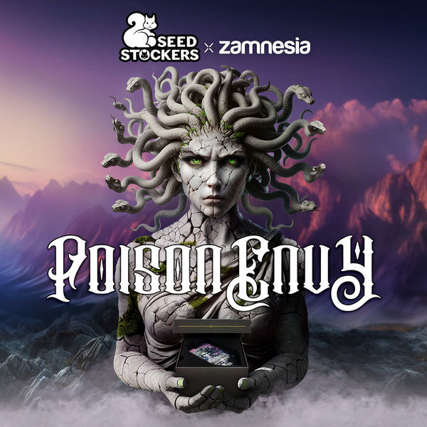 Poison Envy (Seedstockers x Zamnesia Seeds) Feminiserade